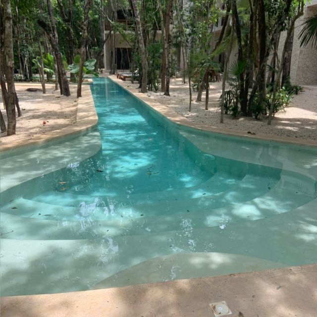 Holistika Jungle Apartment